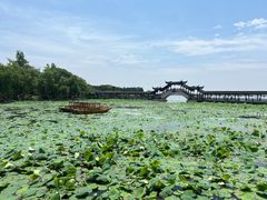 -观桥阁(锦溪店)