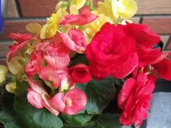 -复兴门(地铁站)