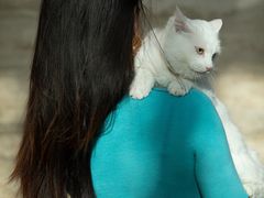 -北京康莱德酒店-Chapter餐厅