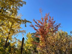 -晋阳饭庄(虎坊桥店)