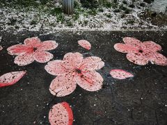 -高东镇樱花园