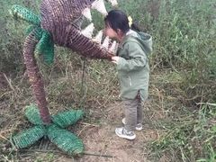 -勿忘我花海