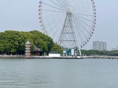 -无锡蠡湖国家湿地公园-蠡园