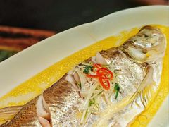 -苏帮袁Sue Cuisine(南开大悦城店)