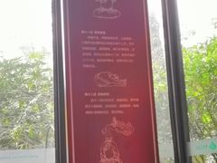 -青城道汤池