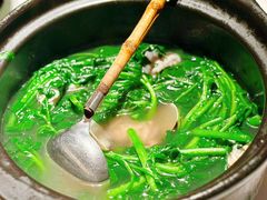 -侨美食家·41年地道粤菜(珠江新城店)