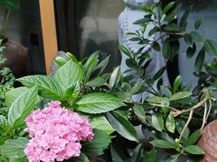 -素清香(解放路店)