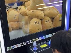 -娃娃集合营(上海奉贤龙湖天街店)
