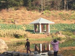-广州市石门国家森林公园