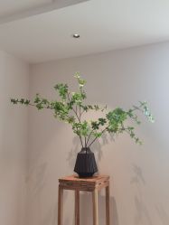 -清疣美疣·痣·斑净肤中心