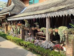 -西双版纳原始森林公园