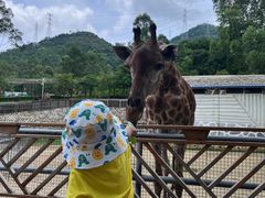 -泉州海丝野生动物世界