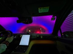 -枫花园汽车电影院(朝阳公园店)