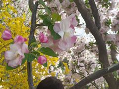 -元大都城垣遗址公园