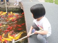 -成飞公园