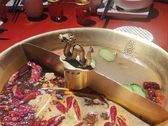 -小龙翻大江文化火锅(宽窄店)