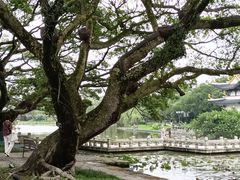 -江心屿景区