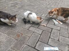 -广州珠江公园