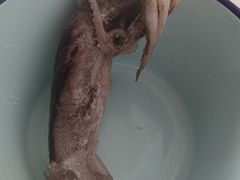 -盒马鲜生(馥邦国际店)