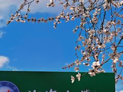 -渤海大学(松山校区)