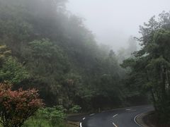 -祁门牯牛降观音堂风景区