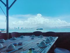 -珊瑚岛