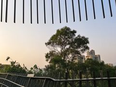 -福道