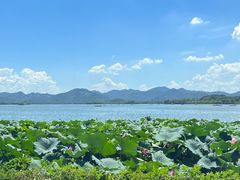 -湖畔居茶楼(湖滨店)