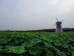 -武汉紫薇都市田园