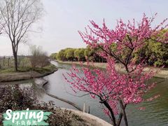 -嘉北郊野公园