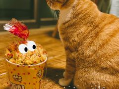 -正宗老杨特色爆米花(四棉店)