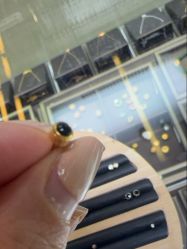-Wisezone唯点穿耳打耳洞专业国际连锁品牌