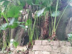 -小八仙·八方(移民广场店)