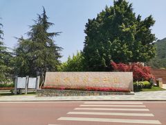 -铁山坪森林公园