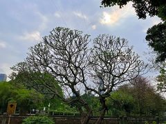 -晓港公园