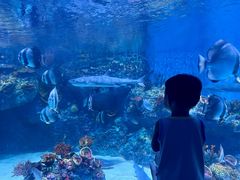-海合安成都极地海洋公园
