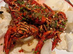 -海岛八号龙虾烧烤田鸡(蓝天路总店)