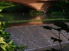 -云溪植物园