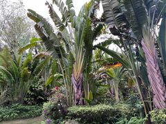 -碧桂园润杨溪谷温泉酒店