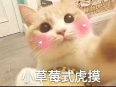 -GAGA主题量贩式KTV平价店(工大店)