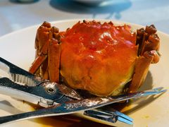 -苏帮袁Sue Cuisine(将台店)