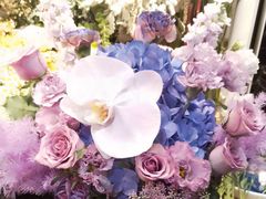 -爱尚幸福鲜花(上地实体店)