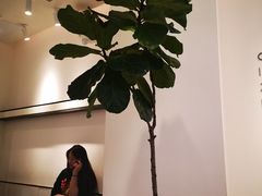 -喜茶(佛山岭南站店)