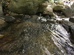 -少华山国家森林公园