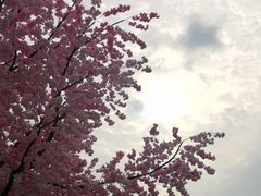 -上海月湖雕塑公园