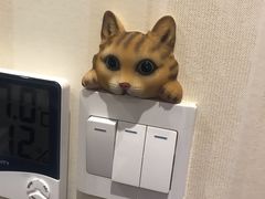 -宠爱国际动物医院· 猫科· 外科·中兽医(长白店)