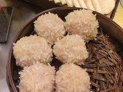 大力丸-风波庄(罍街分舵)