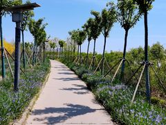 -天津东丽湖风景区