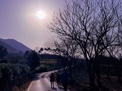 -白茶原·一片叶子