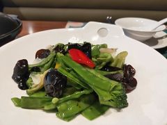 -大树餐厅(益田假日店)